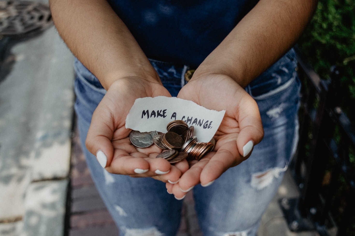 How to Support Homeless Animals in Your Community