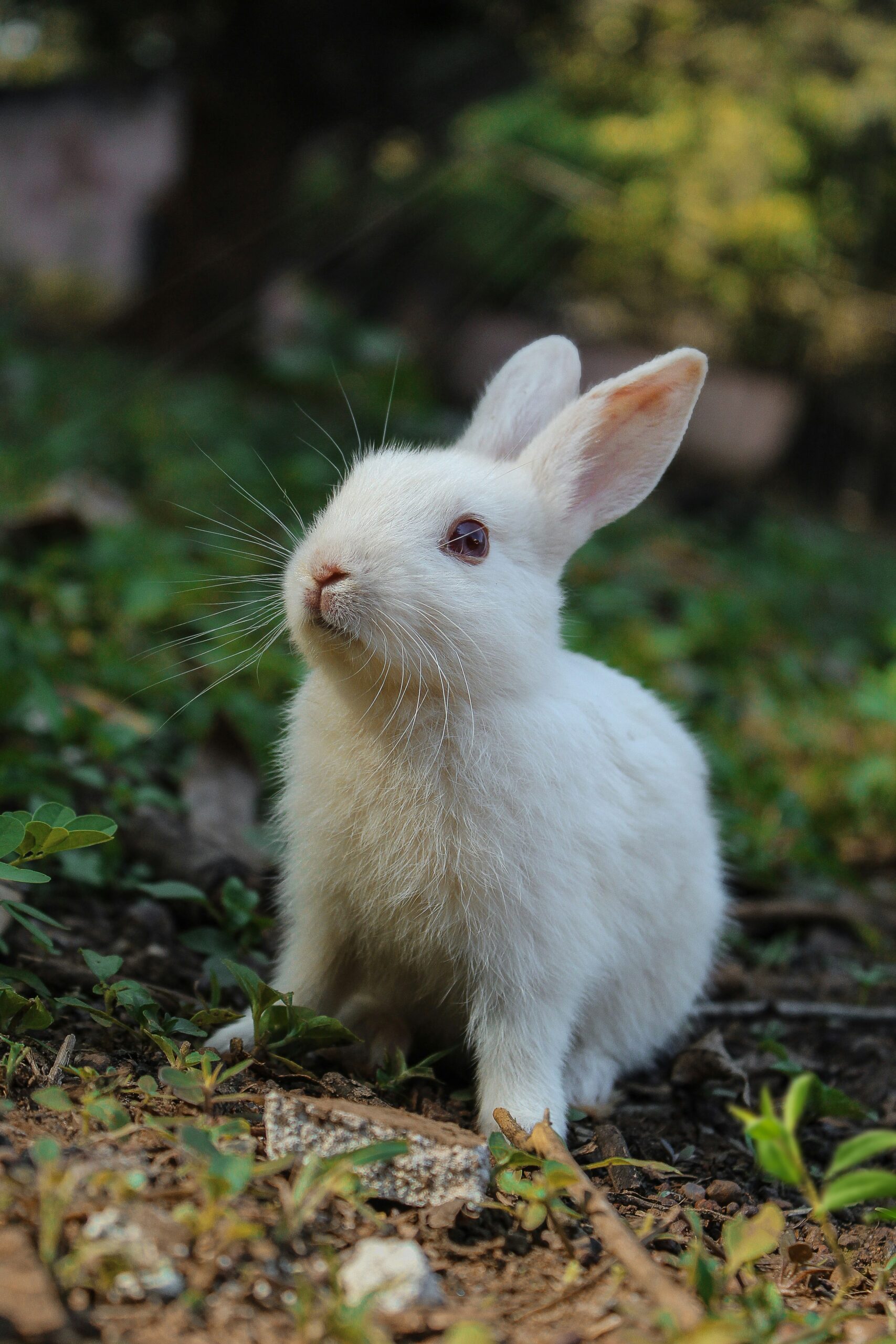 Hello world!